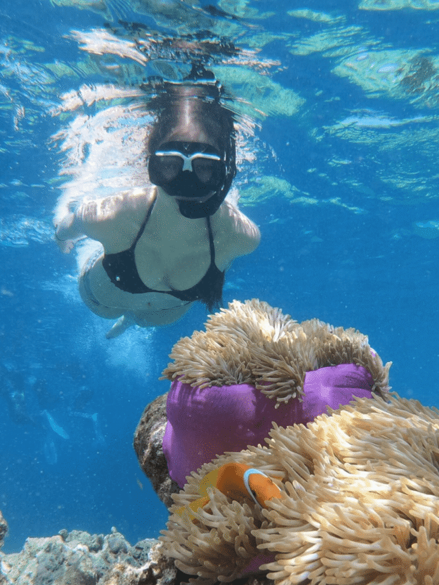 Things to Do in San Diego – 10 Must-Do Experiences